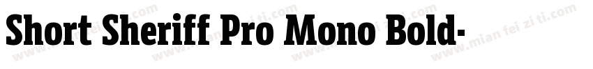 Short Sheriff Pro Mono Bold字体转换